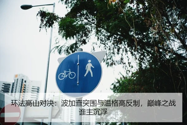 环法高山对决：波加查突围与温格高反制，巅峰之战谁主沉浮