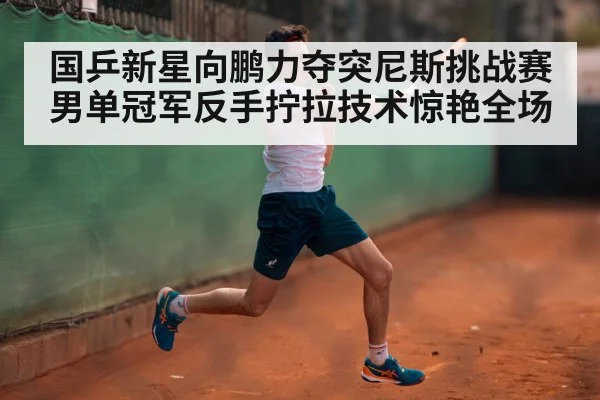 国乒新星向鹏力夺突尼斯挑战赛男单冠军反手拧拉技术惊艳全场